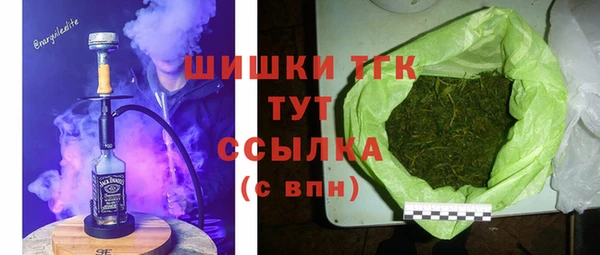 дмт Алзамай