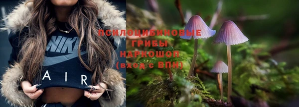 дмт Алзамай